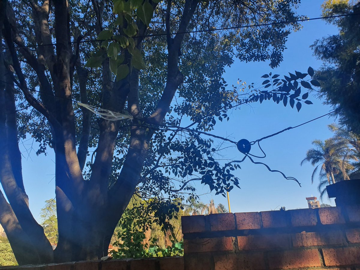 WerewolfX's tweet photo. @vumatel I'm am extremely frustrated with you guys. There was a team outside my property last night around 8pm repairing the vuma street cable and have completely destroyed my connection now!!!! In addition they left the cable laying on the road. Please assist urgently! https://t.co/tFU6jmNCHP