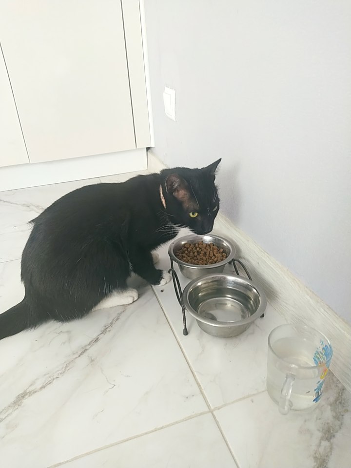 Наталья Питерская tweet media