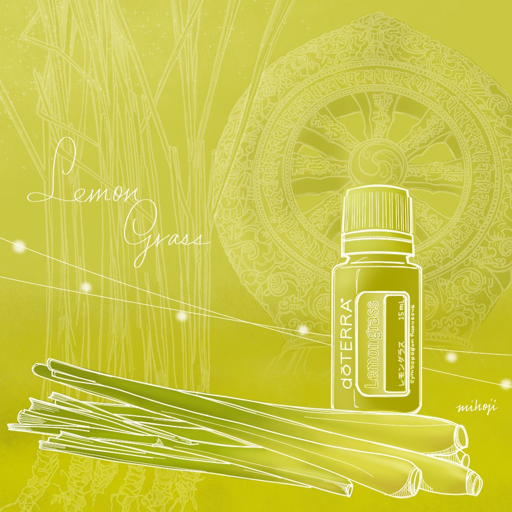 いしづかみほ Miho Ishizuka レモングラスのエッセンシャルオイルのイラストを描きましたー イネ科植物の絵は難しい笑 八正道を表す法輪をデザインに入れて レモングラス Clipstudiopaint イラスト T Co C2w8dvg9a0 Twitter