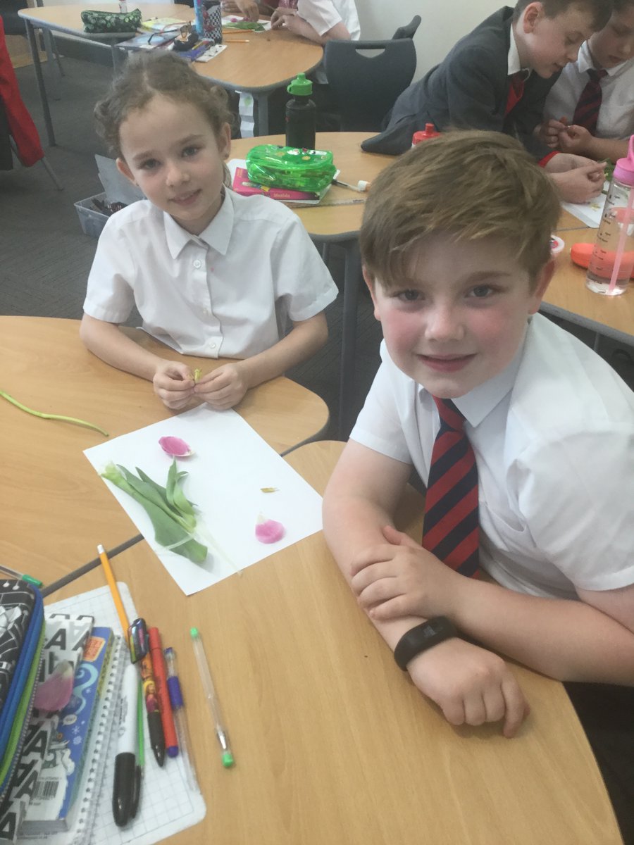 Mrs Norris tweet media