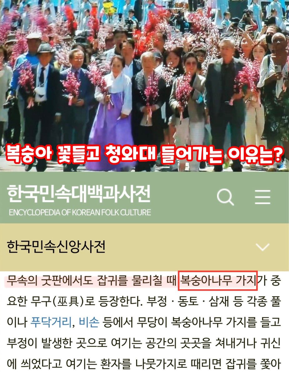 청와대에 단체로 복숭아 꽃들고 가는 이유가 저거였어?
ㅋㅋㅋ