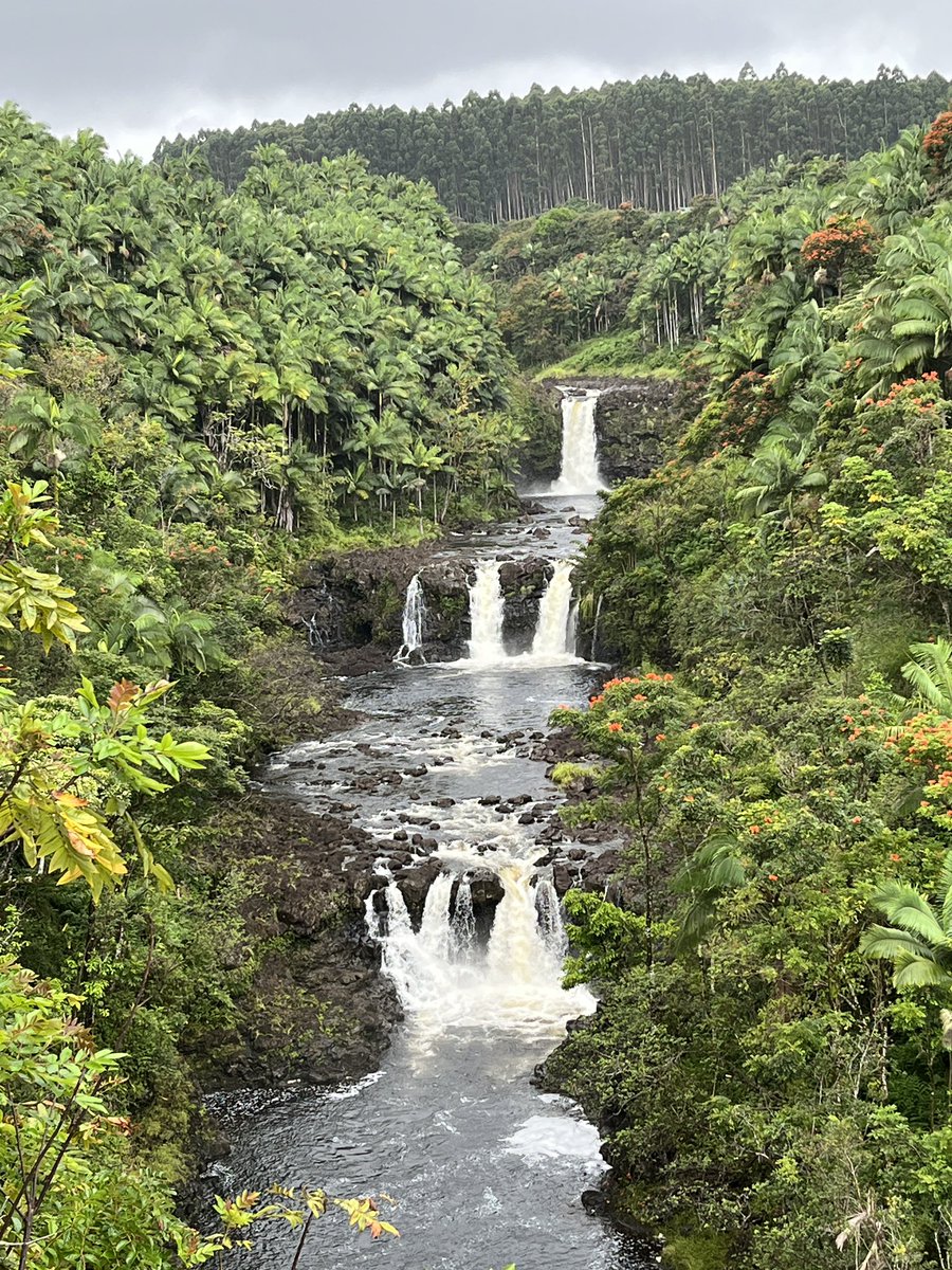 blondehawg's tweet photo. #BigIslandHawaii #Waterfalls #BoilingPots https://t.co/th4wKazhCl