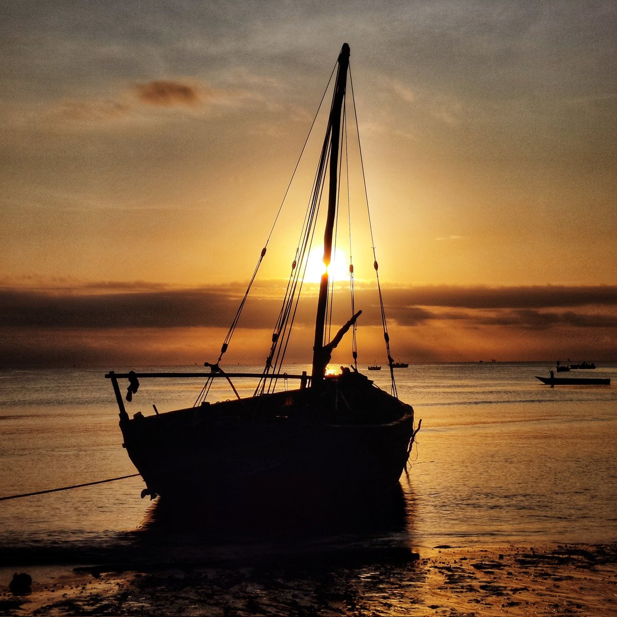 3dSparrow's tweet photo. Well worth getting up early this morning for #sunrise, in #Bagamoyo with @dickybates2⁩ ⁦@ProfAndyWilson⁩   @IchumbakiE ⁦@urithiwetutz⁩ @VisHeritage @BradArcForensic https://t.co/1xUNqr88zO