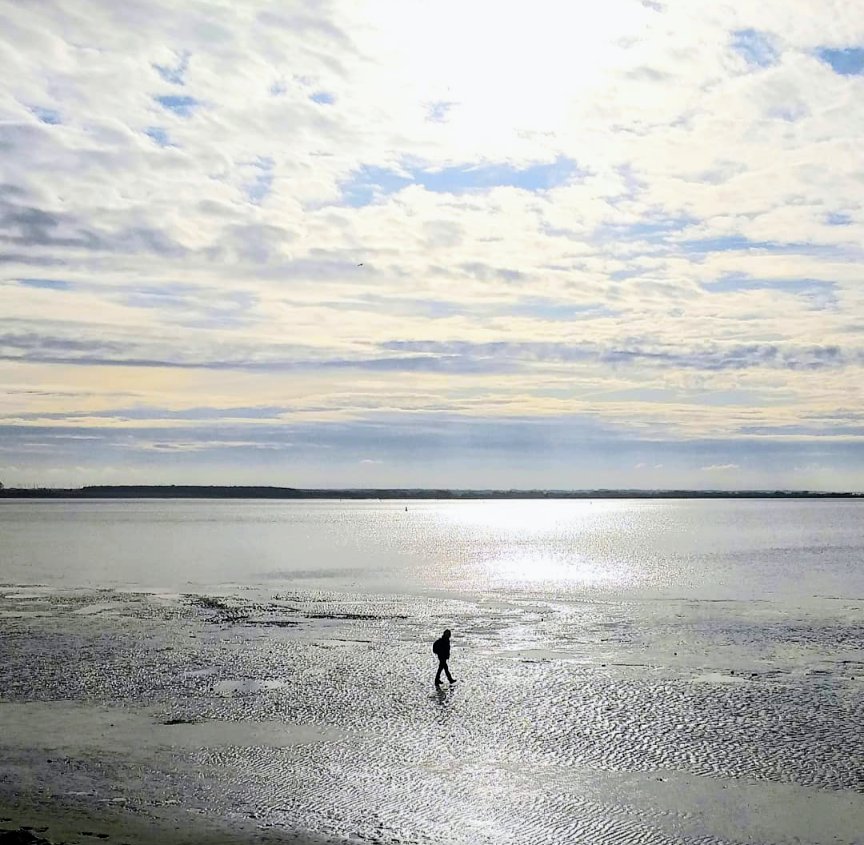 PipaMina80's tweet image. La mer s'est retirée pour quelques heures et la Baie de Somme nous offre un immense espace pour marcher , respirer, penser , admirer et se sentir libre. Ici plus que nulle part ailleurs . 
#LeCrotoy
#BaiedeSomme
#Somme 💙
#Picardie 💚
#BaladeSympa 
#MagnifiqueFrance