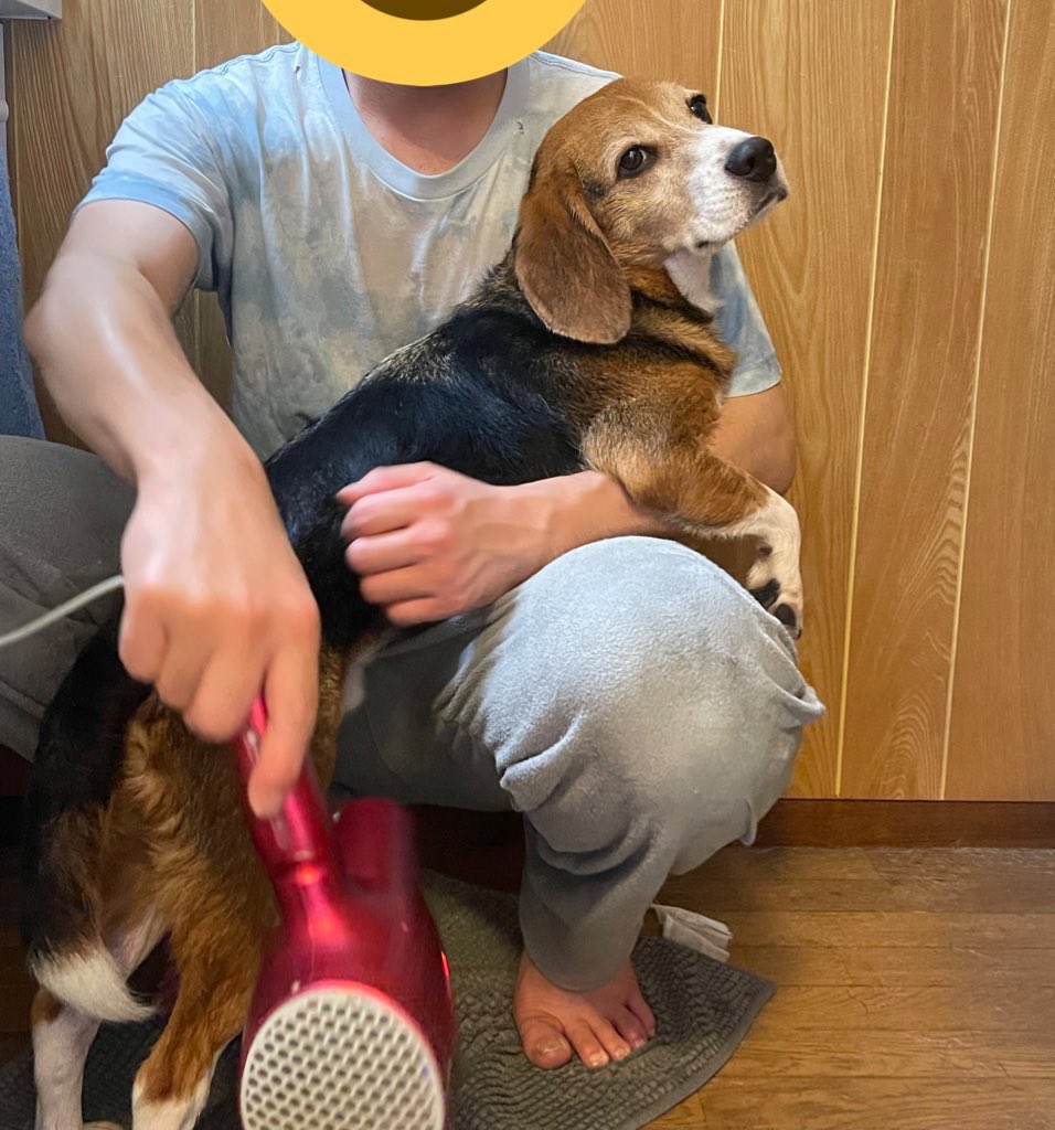 ネモ＆レオ tweet media