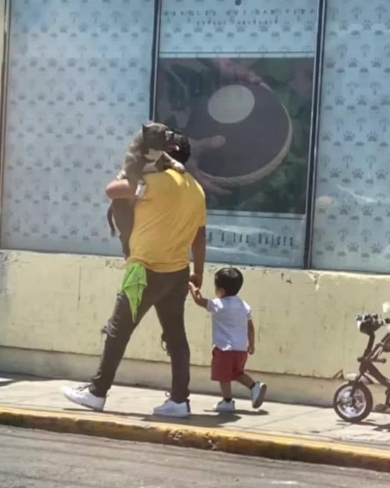 Man’s NOT Barry Roux tweet media