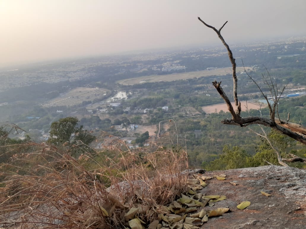 MuruganShruti's tweet photo. Magnificent #Mysuru had so much to offer in its slow paced lifestyle. Climbing up to Sadhguru spot was the highlight of our trip. Our furry friend who we found on the hill guided us to the spot & back. He even stayed & meditated. #noteveryday #dogsneednowords https://t.co/KZ3vrwlrwU