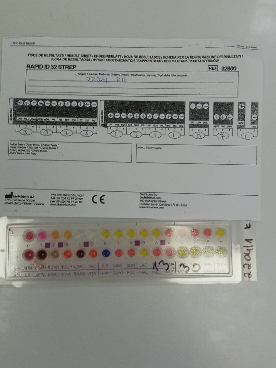 MonoGutHealth's tweet photo. ESR4 learned new methods at #Vetdiagnostica:
🧫how to inoculate and cultiviate different #bacteria  
🧪how to use #RapidID3Strep #biochemicalassay to identify #streptococci and #enterococci

@Pol_Bydgoska #scicom #H2020 #ITNetwork #MSCActions #methodsofMGH
https://t.co/WXuNZGnnRw https://t.co/LI9jxzVOUU