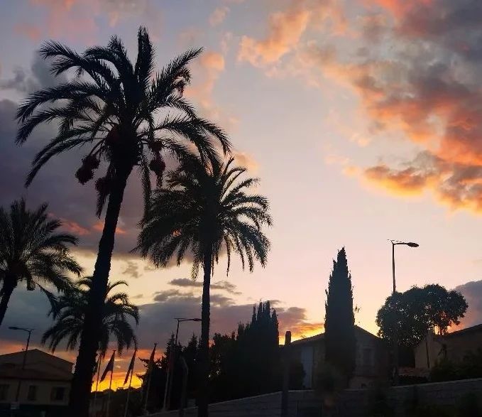 CastelnauleLez's tweet photo. 🌇 Sublime coucher de soleil sur la Place de l'Europe
📸 Florence - l'art du goût
#castelnaulelez #sunset #cielorange https://t.co/9eK0bHyvg1