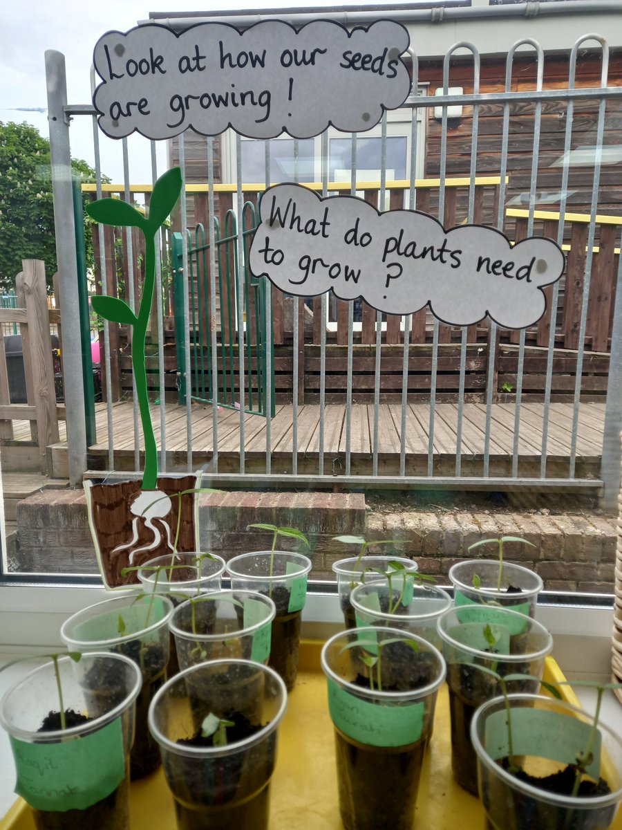 Lowe20Mrs's tweet photo. @NurseryAPS https://t.co/bGwxRuvRE7