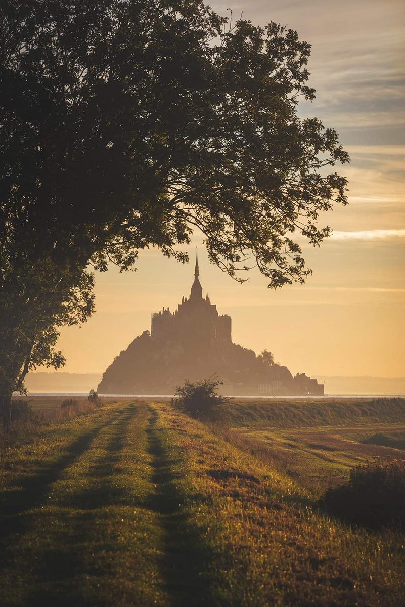 Adilemoigne's tweet photo. Quand un arbre épouse la forme du Mont Saint Michel, Normandie. https://t.co/D4Suhh4qRv