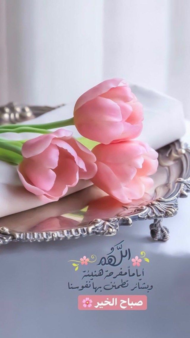 صباح الخير لكل الأشياء  الجميلة
؜التي تصنع صباحات زاهية وراقية ورائعة
؜أشباهكم وأمثالكم ..
؜؜أصبحتم بخير وعافية ،، 
؜أمل ورضا ،، إيمان وسلام 
؜أحبائي أينما كنتم 🌷
