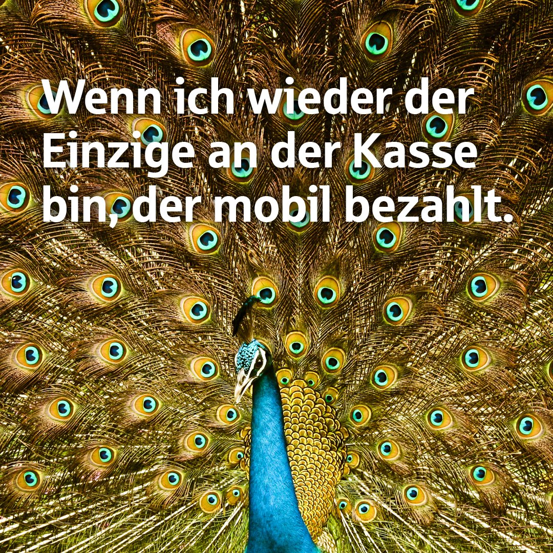 kskreutlingen's tweet photo. Mal wieder alle Augen auf die Bezahlung mit dem Smartphone gerichtet? Einfach Rad schlagen und alles mit Würde tragen. 🛍️ 🛍️ 😁
Wer’s noch nicht ausprobiert hat: https://t.co/Mc0A9RpLut
#mobilesbezahlen #applepay #mobilbezahlen #smartphone #trendsetter #mitstil https://t.co/C8W8l4otyB