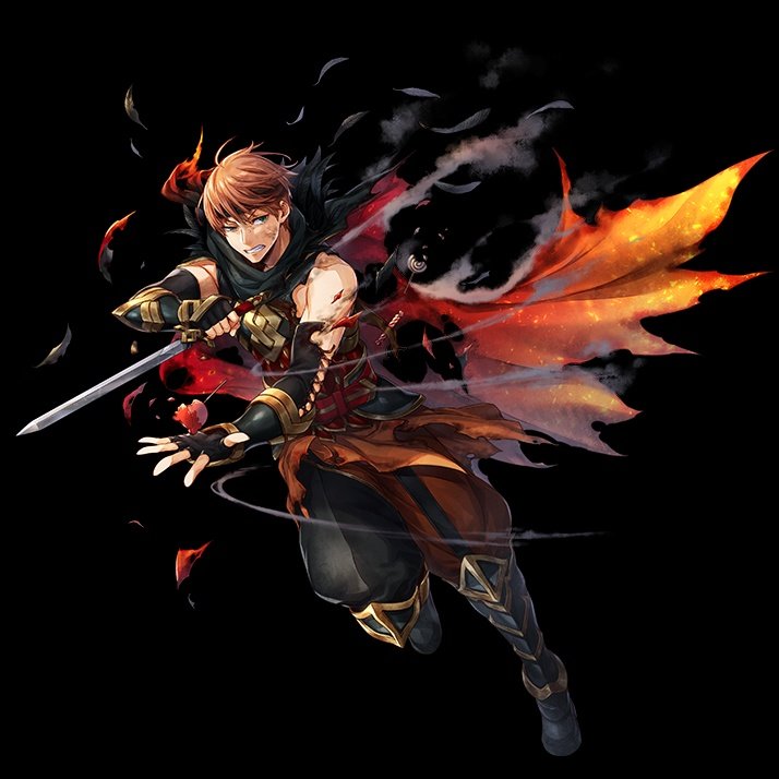 robin tweet media