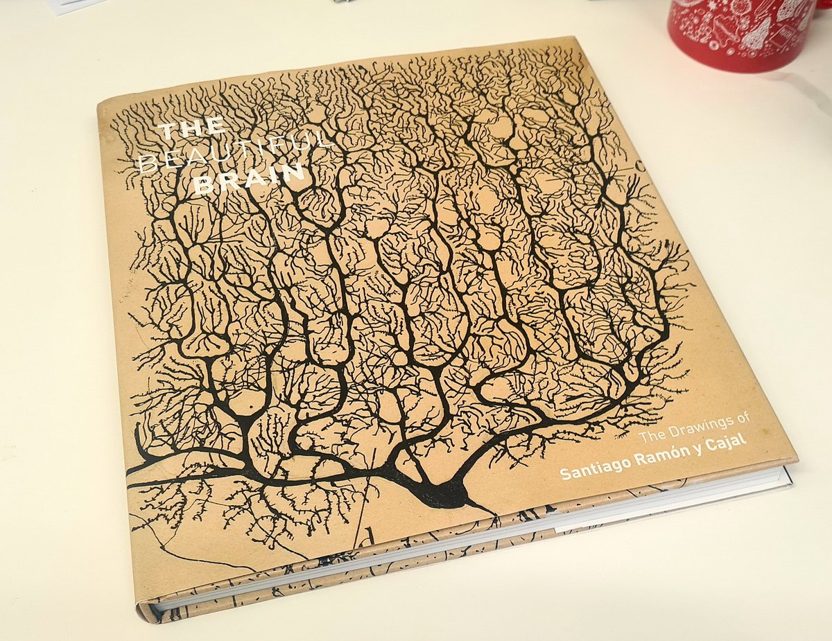 GSS_mag's tweet image. This is where art and neuroscience meet! Happy with my latest purchase, which demonstrates the drawings of Santiago Ramón y Cajal. An inspiration to a neuroscientist like me. 
#neuroscience #science