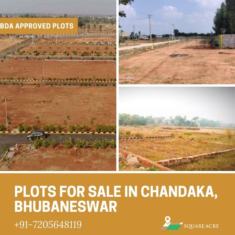 square_acre's tweet photo. We have residential plots for sale in Chandaka, Bhubaneswar with all the basic facilities available. Book a plot for you of any size.
 
Reach us: +91-720-564-8119
 
#landforsale #realestatetips #realestategoals #realestateagent #property #propertyinvestment #squareacre https://t.co/tBr2zOgvvI