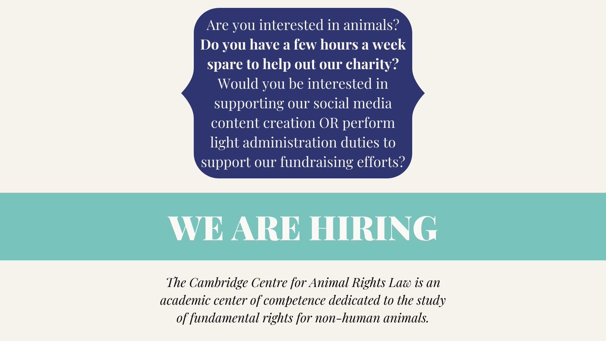 CCARL_charity's tweet photo. We are #hiring two new flexible roles! 

So if you have skills in #contentcreation #administration #copywriting #charitywork #fundraising or #websitemaintenance and care about #animals - get in contact 💌 

(Feel free to DM or email any questions) https://t.co/vZijYWQQWX