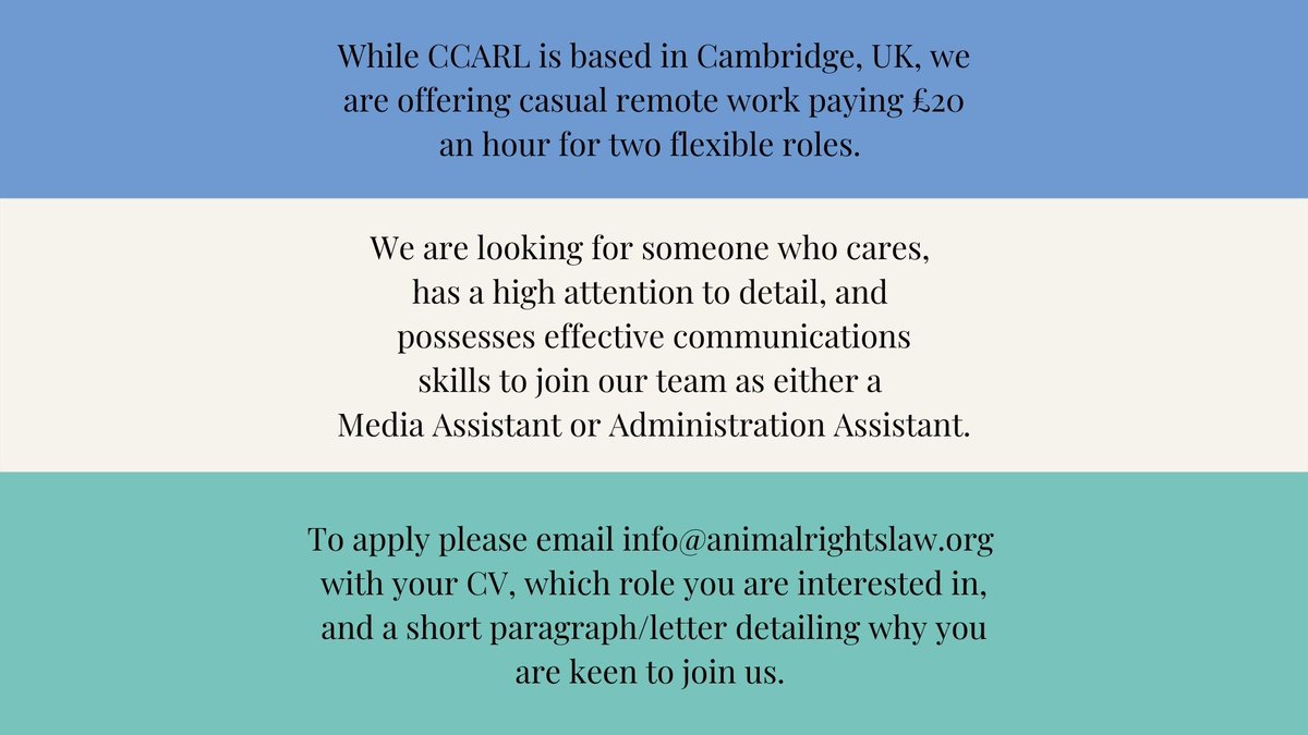 CCARL_charity's tweet photo. We are #hiring two new flexible roles! 

So if you have skills in #contentcreation #administration #copywriting #charitywork #fundraising or #websitemaintenance and care about #animals - get in contact 💌 

(Feel free to DM or email any questions) https://t.co/vZijYWQQWX