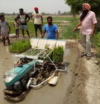 ramanmann1974's tweet photo. Thread
Two mech techs-Direct Seeded Rice #DSR & #Transplanter
5.2 lakh hectare #paddy was sown thru direct seeded tech #DSR machines i.e sown directly (saves 30% groundwater+Rs 6000/acre); previously 23000 Ha
55000 Ha sown by #Transplanters, up from 3000 Ha; saves Rs 4500/acre https://t.co/MH55rzfyMD
