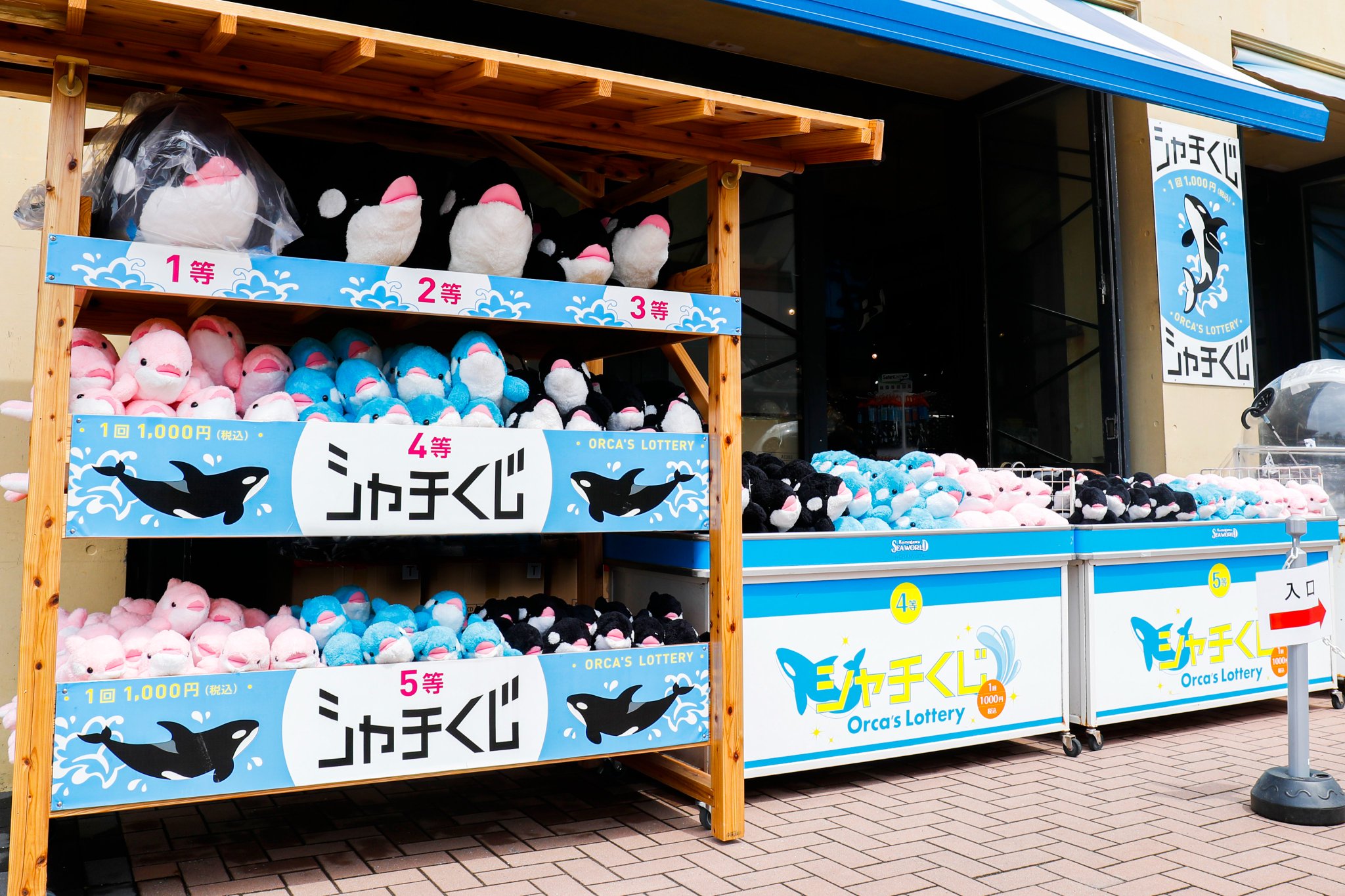 【全商品オープニング価格 特別価格】 鴨川シーワールド【公式】 on X:  ぬいぐるみ