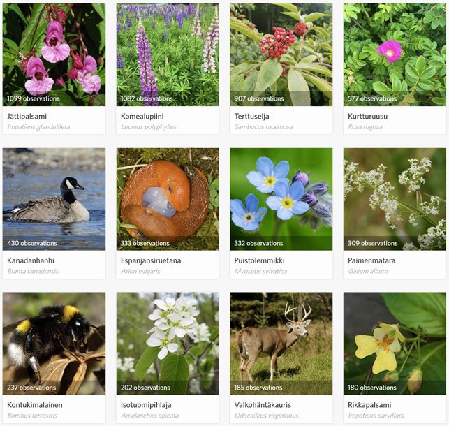 Pihla Kivistö tweet media