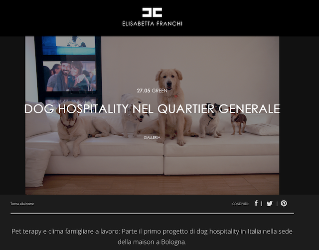 sacchi_roberta's tweet photo. Perchè se hai un figlio sei un impiccio, invece se hai un cane... Benvenuti in canItalia #elisabettafranchi https://t.co/5nbXg6veBR