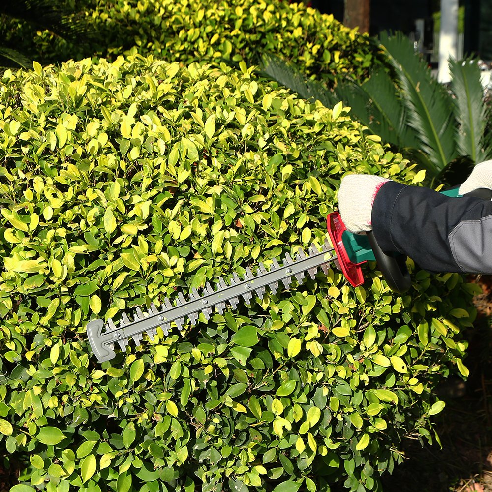 HyechoTools's tweet photo. 🔥HYPERECHO hedge trimmer adopt ergonomic rubber handle, non-slip and shock absorption, best partner for your home.🔥
👉https://t.co/7WjIJbqY6x👈
#Hyecho #powertools #woodworker #woodworking #hyechotools #GardeningTools #woodworkingfun https://t.co/zbd9eZutKG