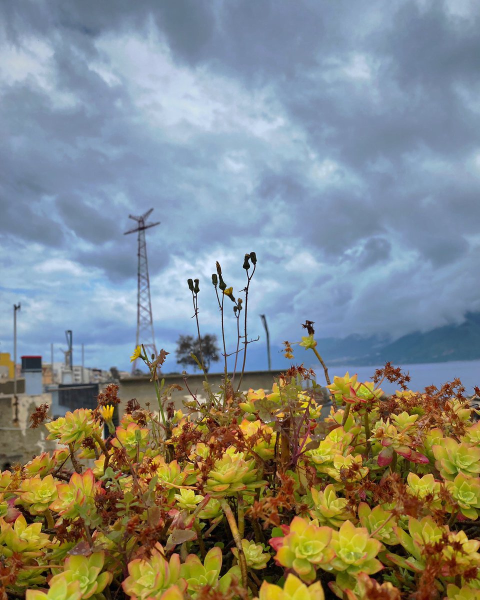 marcial_Rro's tweet photo. Torre Faro #messina #torrefaro #sicilia https://t.co/SJZOa3vPt1