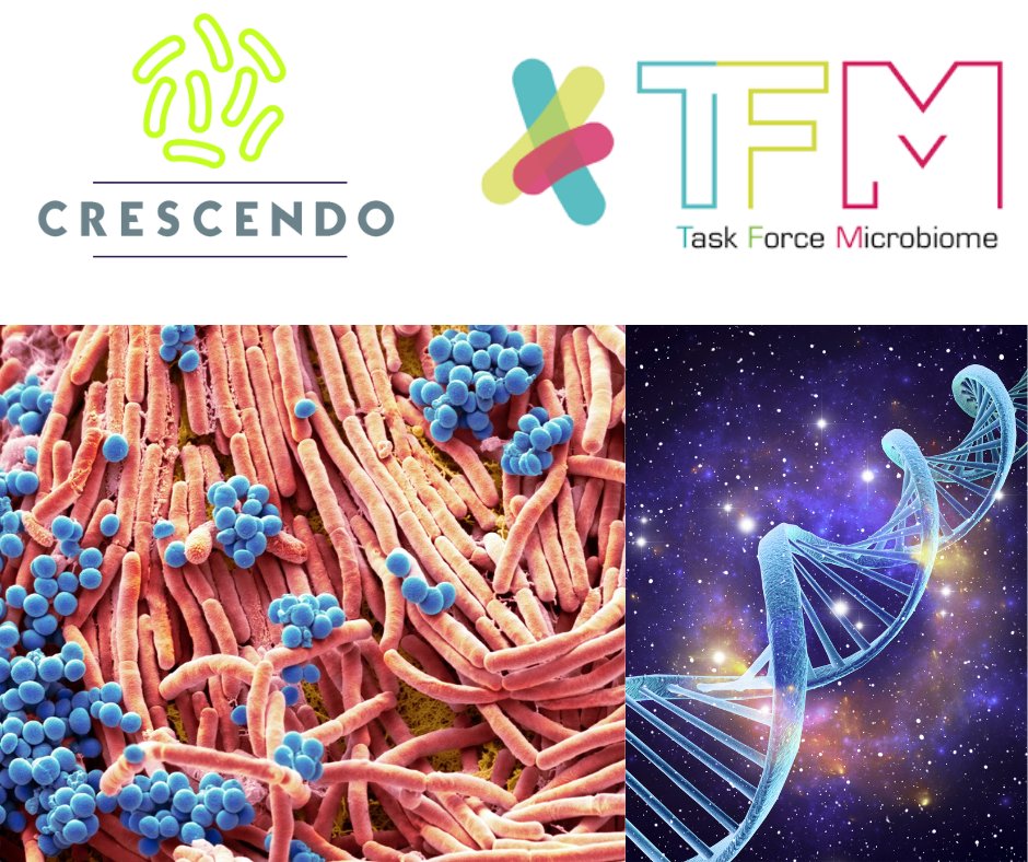 🔸40 days left to apply for PhD positions in Microbiome Science within the Marie Skłodowska-Curie progamme at the University Federico II, Naples, Italy.
👉 Info and list of available research projects crescendo.unina.it - deadline 30th June 2022.
▶ #microbiome