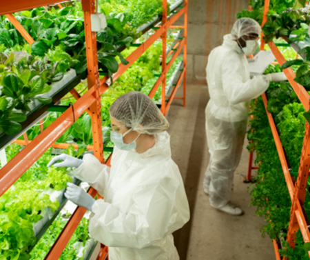 The rate of change in the agriculture industry is unstoppable, fuelled by technological innovations while challenged by environmental uncertainty.

bit.ly/38bUMhh 

#managedinsurancesolutions #mis #murraybridge #futureoffarming #farminsurance #farminnovation