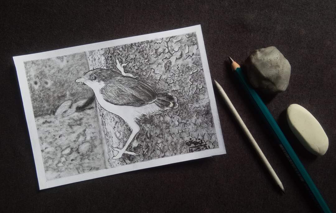 VSunlightArtist's tweet photo. Photo Realistic Drawing Using 10B Pencil.... Inspired From @Hariharanhh Photography
#wood #art #gesture #bird #artbook #font #pattern #illustration #drawing #painting #paper #visualarts #room #rectangle #plaster #nail #paint #paperproduct #sketch #draw #pen #creative https://t.co/BYnY32U2Or
