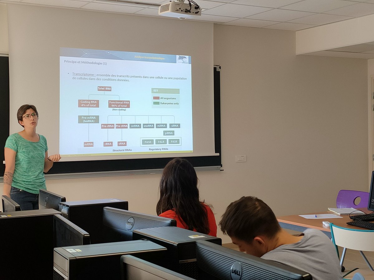 leroilau's tweet photo. Premier jour de la formation à l'analyse transcriptomique du #SeBiMER de @Ifremer_fr à @umontpellier ! @poltofresh https://t.co/19ihNhV5uC