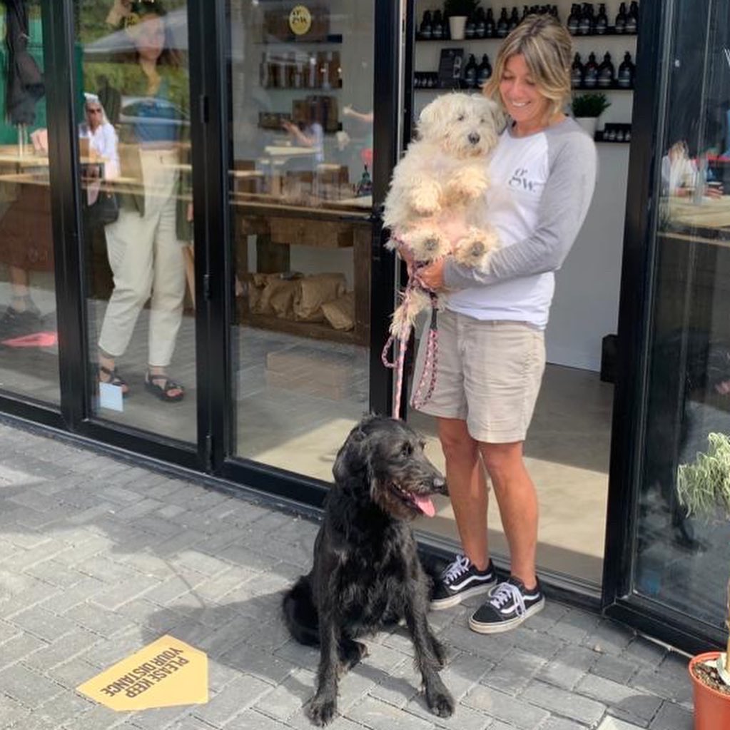 TheGoodwashCo's tweet photo. Did you know store @Goodshedsbarry is dog friendly #ofcourseitis and for well behaved fur guest we have lovely treats under the counter..  🐾#woofwash #vegandogwash #washyourpaws https://t.co/tgQrKCPBH1 https://t.co/Ld7nkj3wSW