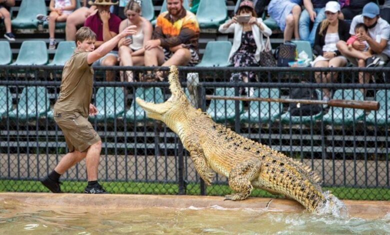 To protect wildlife, the Australia Zoo has launched the NFT Project on Algorand.
instamassmedia.com/to-protect-wil…