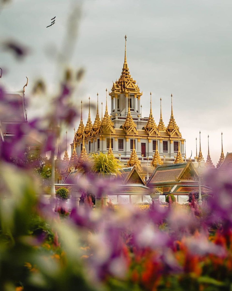 WTravelMagazine's tweet photo. The #culture of #Thailand! This is #Bangkok's Old Quarter, Loha Prasat at #WatRatchanatdaram. Loha Prasat, standing 36 metres high with 37 surrounding spires, is the only one of its kind left in the world.
📸 @pphoto_if
#Travel
Reposted from @tourismthailand https://t.co/EI3jUFyqI6