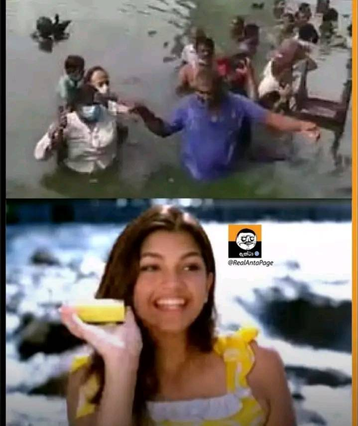 NisansaDdS's tweet photo. 😂

Source: https://t.co/kC6PrKnf6Q https://t.co/totUgy7zJK