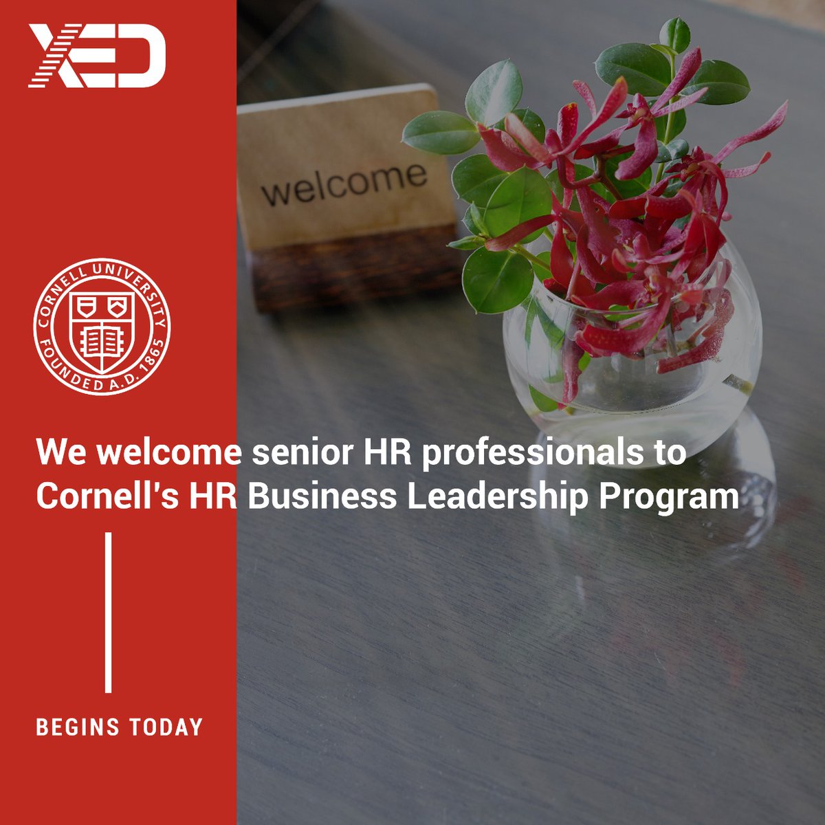 Xed_Learning's tweet photo. Today, we begin our first cohort of Cornell’s HR Business Leadership Program, a 100% LIVE interactive program for senior leaders in HR. On completion, learners will earn a certificate from Cornell. 

https://t.co/9PQ2oUOlMH
#XED #CornellHBLP https://t.co/76dOrPsEUm