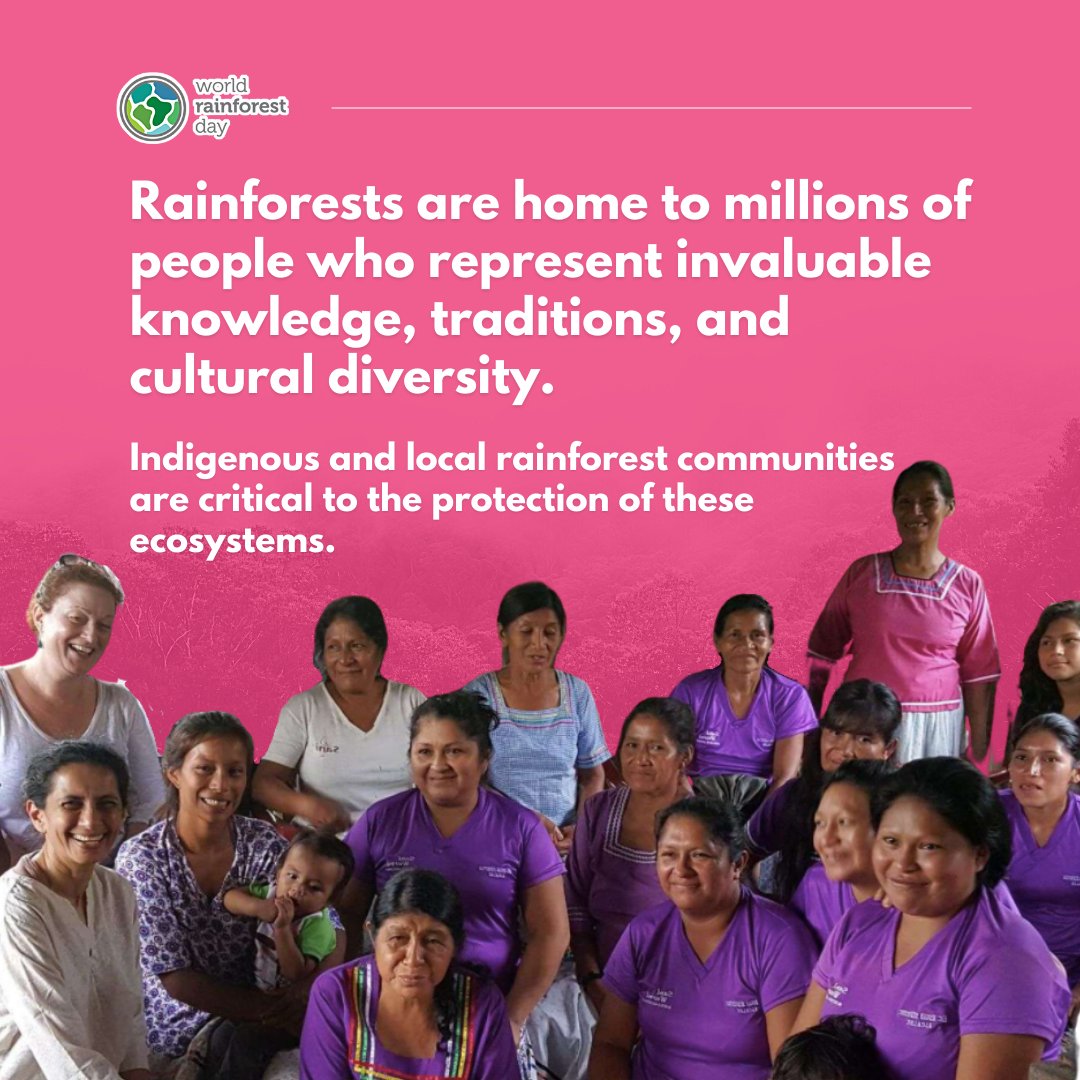 W_RainforestDay's tweet photo. Why do we celebrate #WorldRainforestDay? 

🌴Because rainforests are critical: to biodiversity, climate regulation, human health, daily life, and so much more.

🔗 https://t.co/vVXCE94vuo to get involved in the movement. https://t.co/wphPuhL34l