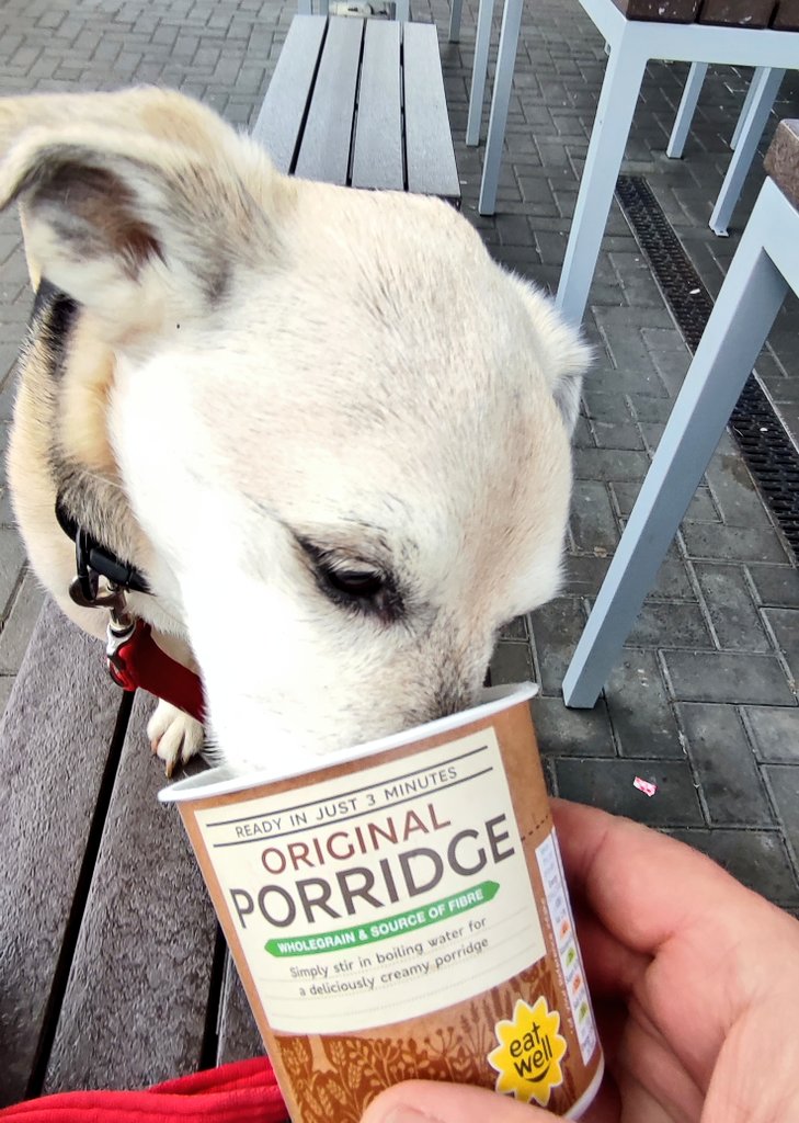 Firesnapper999's tweet photo. Morning bike out with my #4PawDrive #HairySon. Trying for 700 Heart Points this week, day 1/7. My daily single #CaffeineResus treat at McD followed by #DecaffResus & Porridge at @CostaCoffee #FarnboroughBusinessPark, Benson ensuring the porridge pot is clean ready for recycling! https://t.co/U4u4y7FEKF
