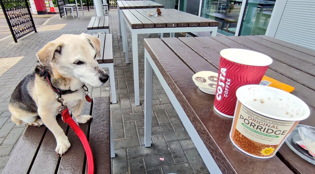 Firesnapper999's tweet photo. Morning bike out with my #4PawDrive #HairySon. Trying for 700 Heart Points this week, day 1/7. My daily single #CaffeineResus treat at McD followed by #DecaffResus & Porridge at @CostaCoffee #FarnboroughBusinessPark, Benson ensuring the porridge pot is clean ready for recycling! https://t.co/U4u4y7FEKF