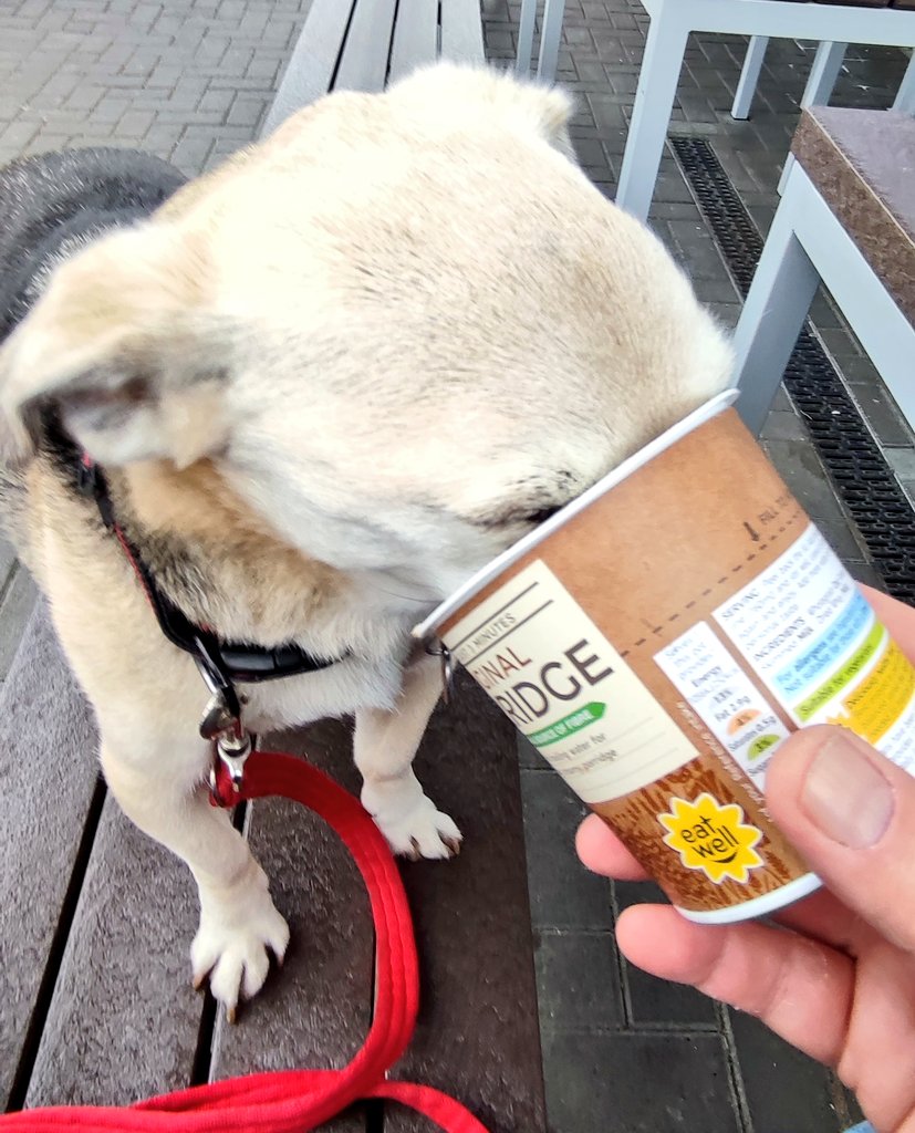Firesnapper999's tweet photo. Morning bike out with my #4PawDrive #HairySon. Trying for 700 Heart Points this week, day 1/7. My daily single #CaffeineResus treat at McD followed by #DecaffResus & Porridge at @CostaCoffee #FarnboroughBusinessPark, Benson ensuring the porridge pot is clean ready for recycling! https://t.co/U4u4y7FEKF