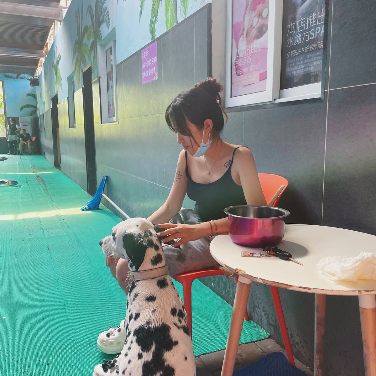 VicaLi18's tweet photo. Enjoy a sunny day in the #swimmingpool with my fur friend.
#WordOftoday 游泳 yóu yǒng Swim
#chineseclass #chineseword #chinese #chinesecharacters #learnchinese #learningchinese #languagelearning #freeclass #wordcard #mandrin #chineseteacher #china #travel #speakchinese https://t.co/normJHeiRi