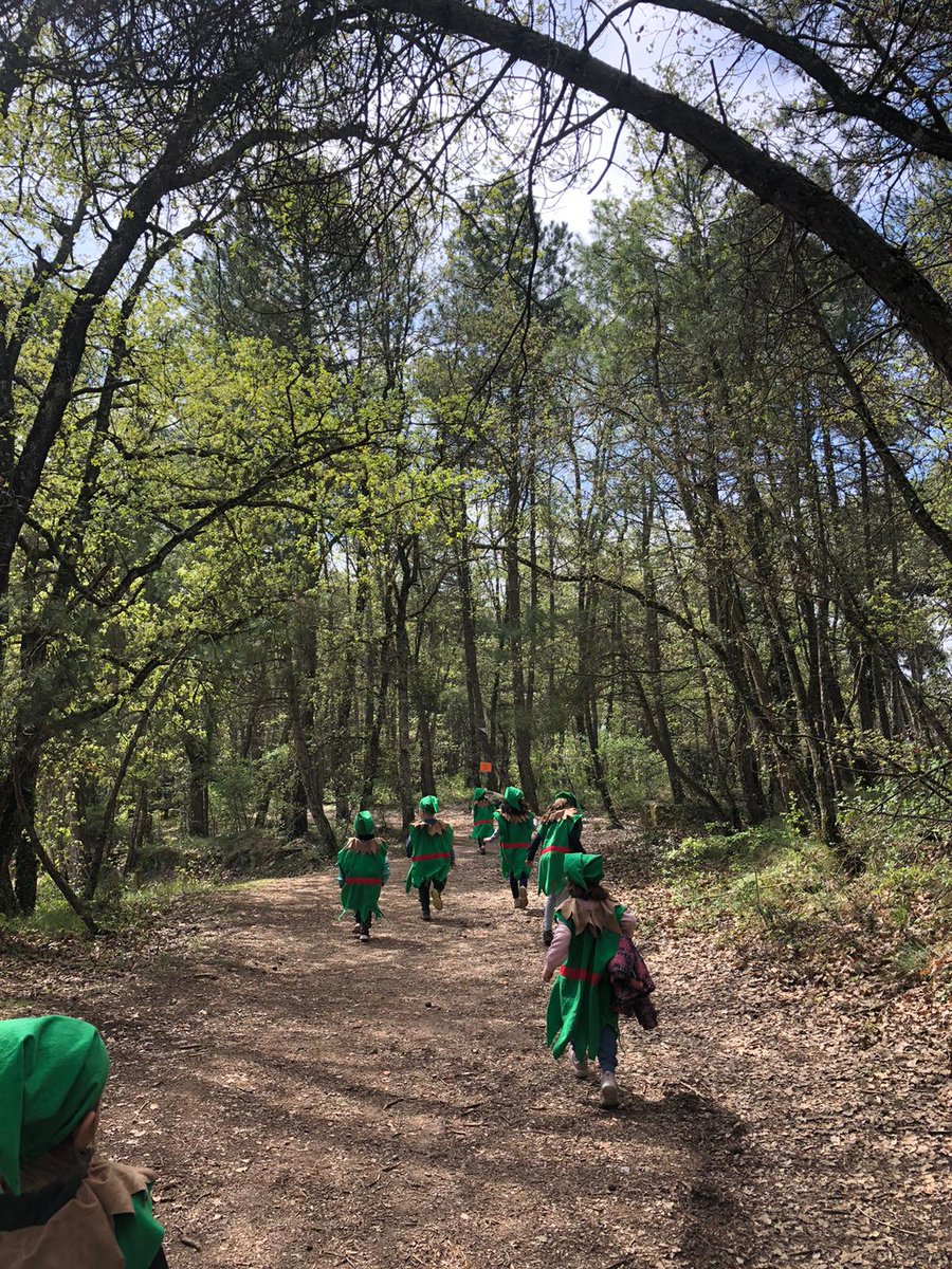 alacarral's tweet photo. Els petits follets encisen el bosc.
 #alacarral #lacarral  #follets #primavera #natura #coloniesescolars #colonies #LescolòniesSónVitals https://t.co/ttgDdzhEH9