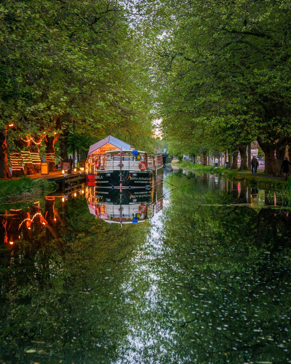 Mespil Road, Dublin 🇮🇪
.
.
#dublin #rawdublin #ireland #mespilroad #reflection #sonyireland
