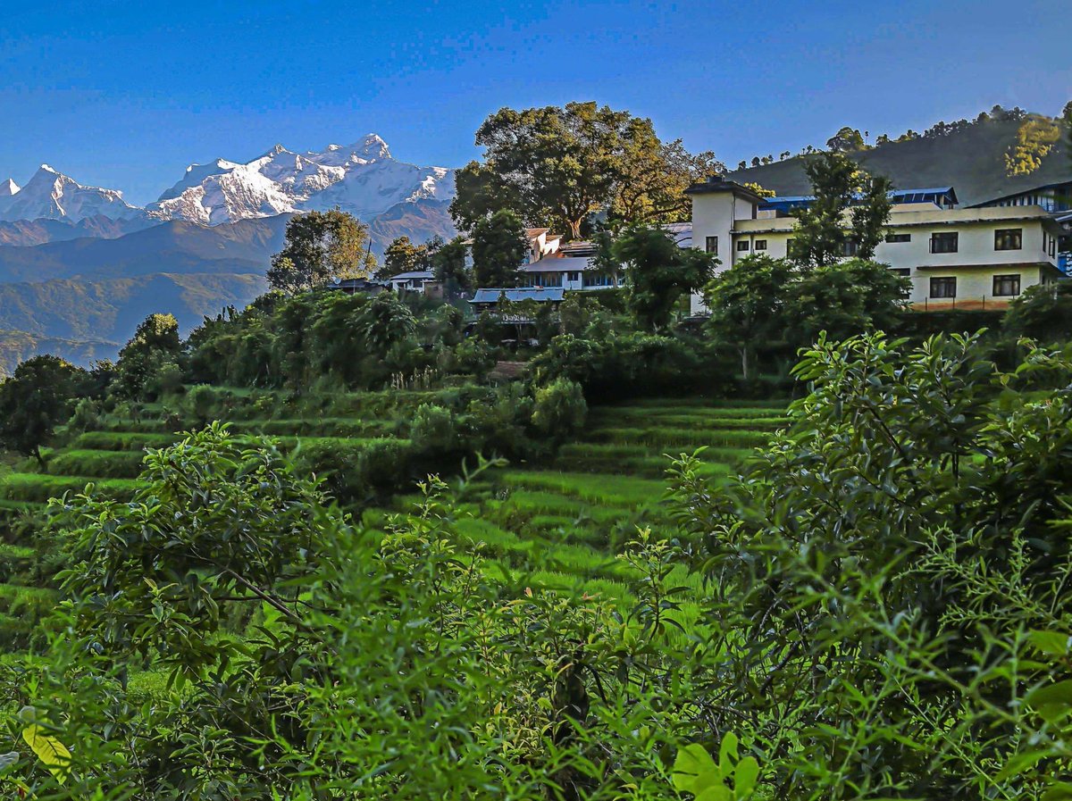 Gesundheit Sachsen tweet media