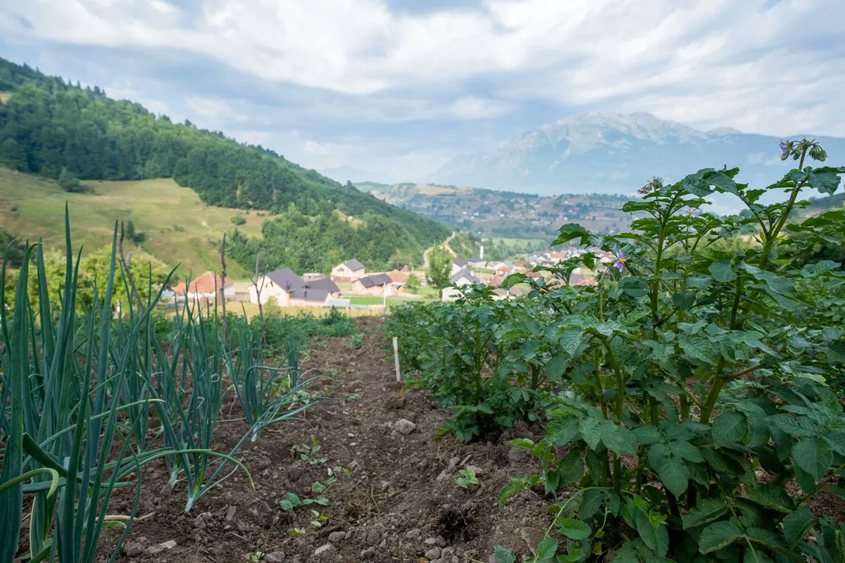 meanderbug's tweet image. Hike much? 
Sunsets?
Great food?
National park?
Yep! Just listed on the Meanderbug App: 1060 House in Plav
#hiking #Montenegro #familytravel