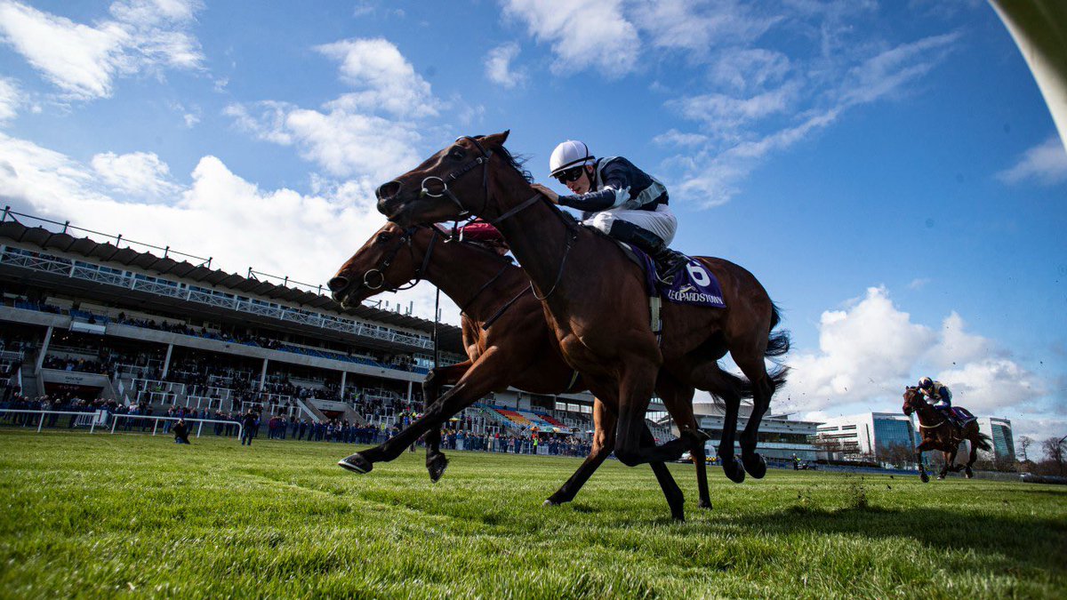 RacingGav tweet media