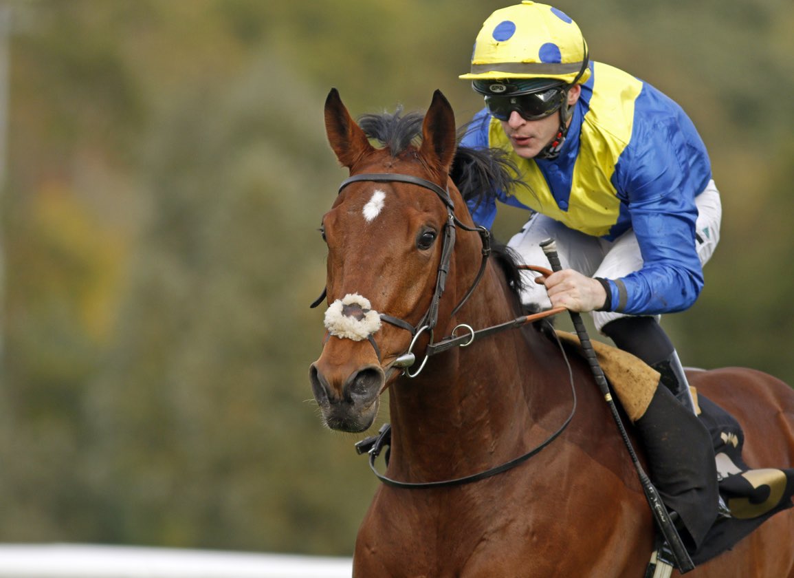 RacingGav tweet media