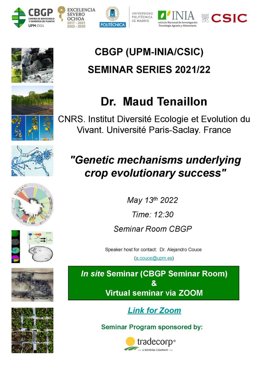 CBGP_Madrid's tweet photo. #SeminarCBGP | 13/05/22 - 12:30h
👨🏽🔬Dr. Maud Tenaillon
🌍CNRS. Institut Diversité Ecologie et Evolution du
Vivant. Université Paris Saclay. France
📝Genetic mechanisms underlying crop evolutionary success
💻Zoom: https://t.co/AWpIGwlag2
#somosUPM https://t.co/fUFVwjXtNT