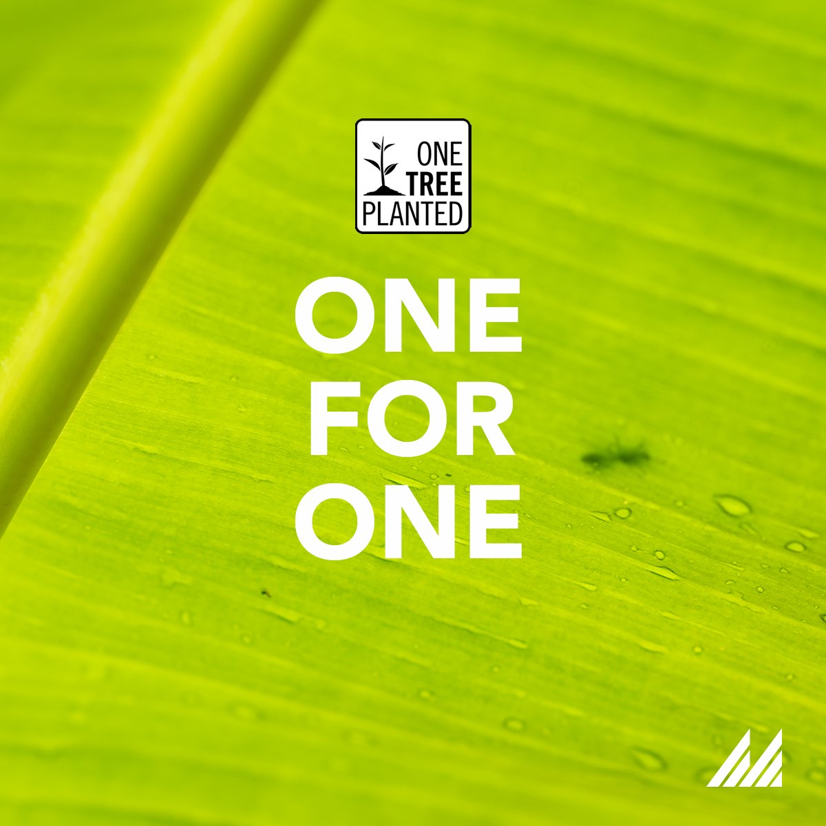 Paul Milner tweet media